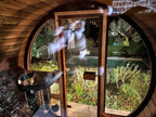 2–3 Person Thermowood Barrel Sauna with Custom Heating Options